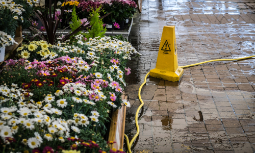 common slip and fall accidents in the spring